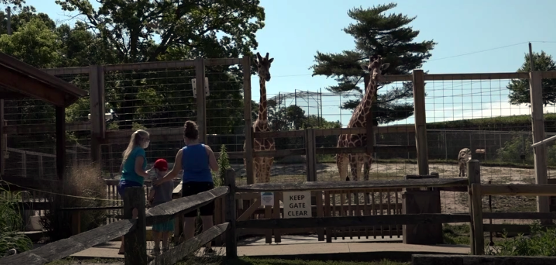 Elmwood Park Zoo