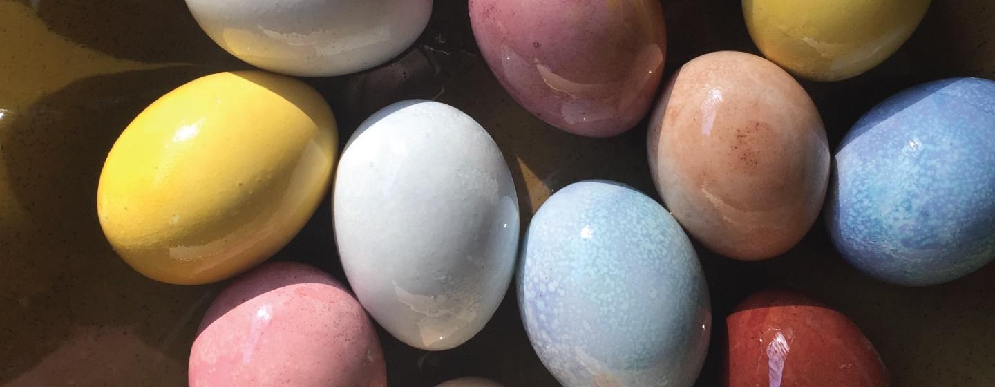 Colorful, naturally died eggs