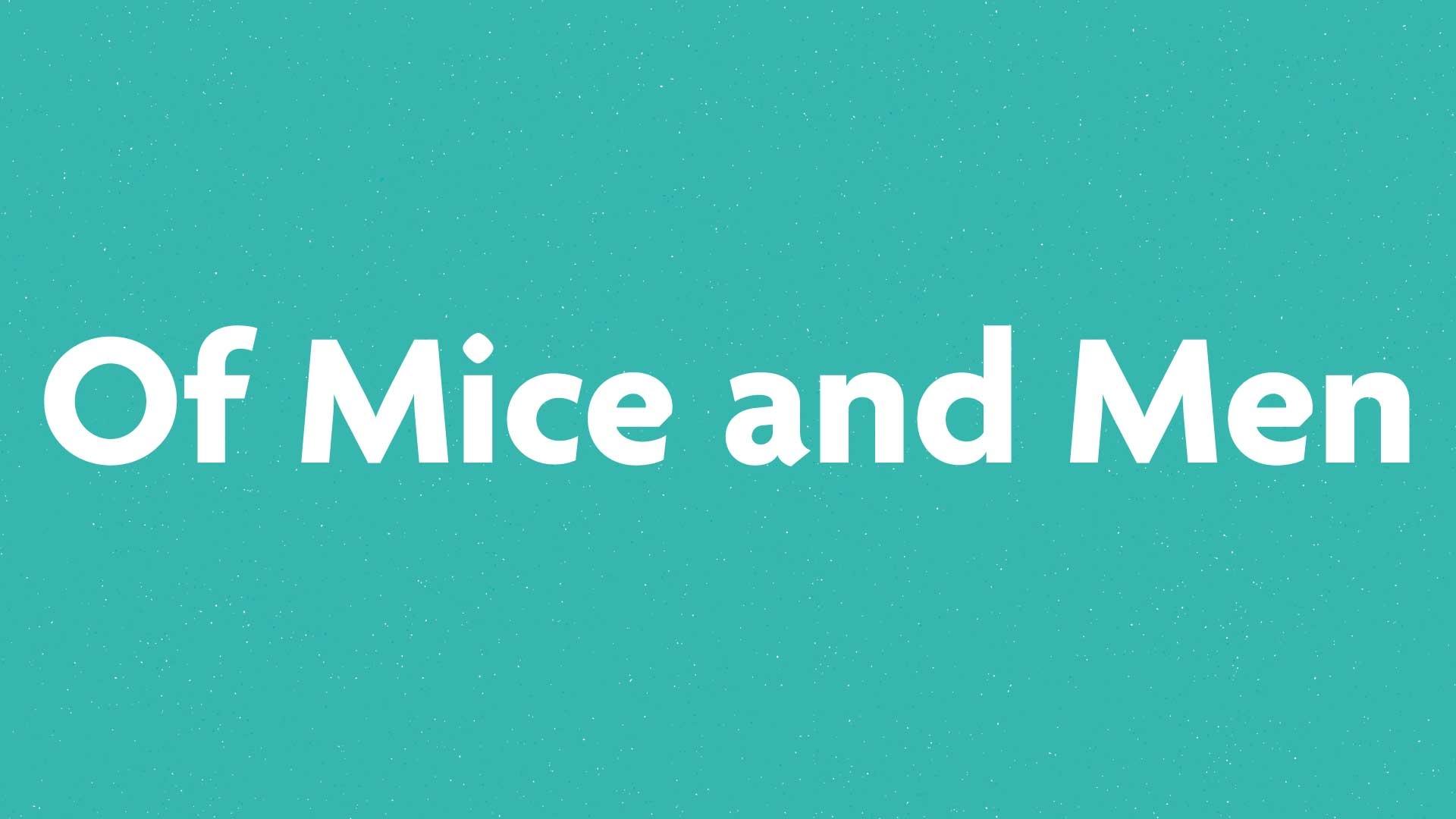 Of Mice and Men book submission card on a green background.