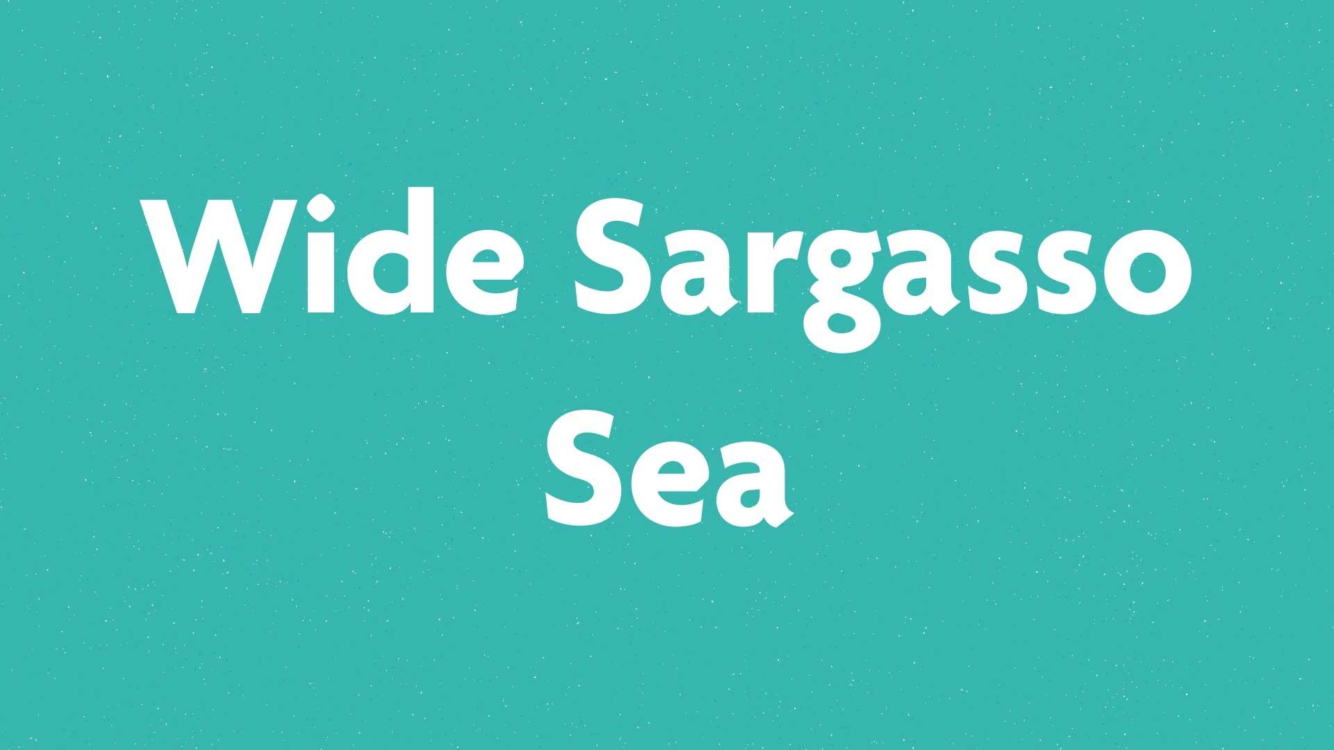 Wide Sargasso Sea book submission card on a green background.