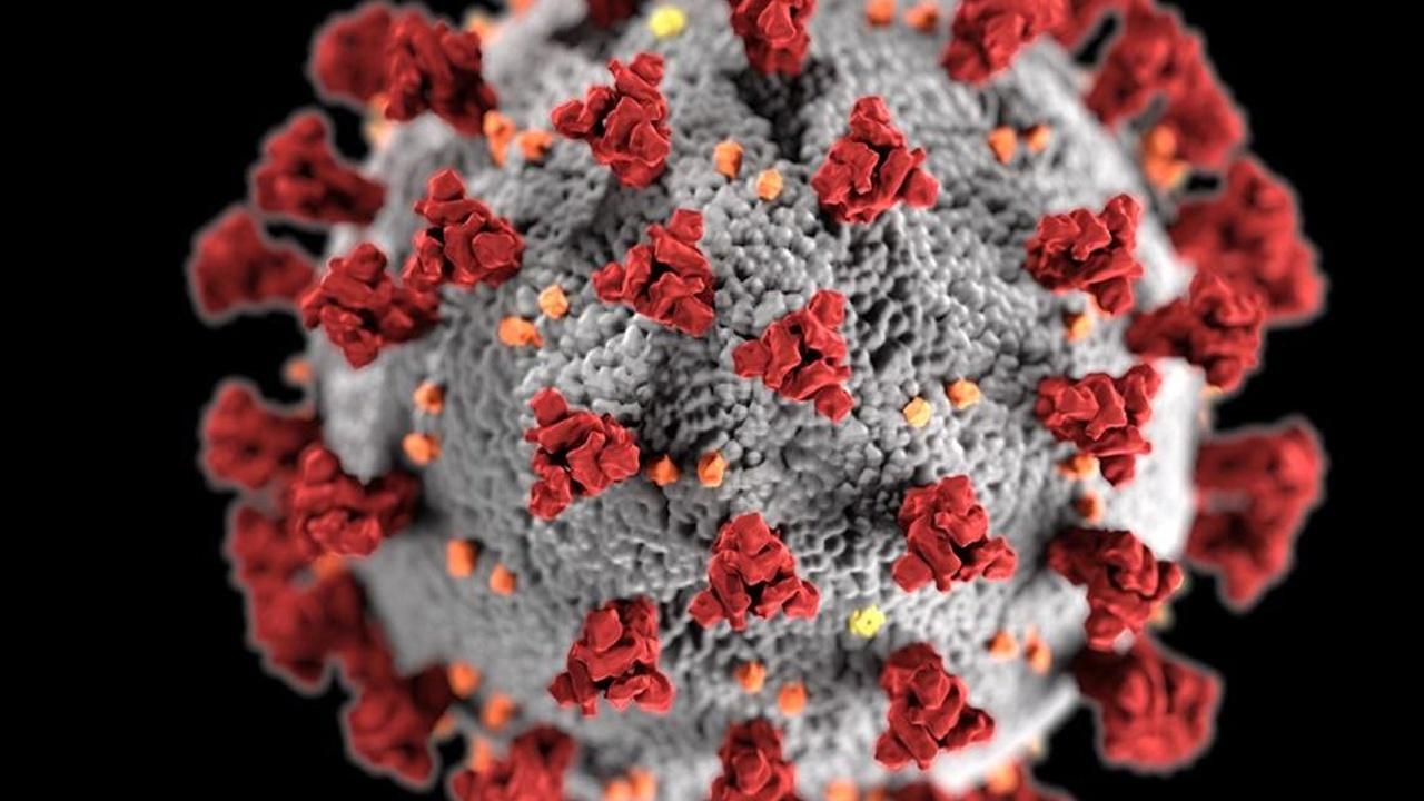 Coronavirus