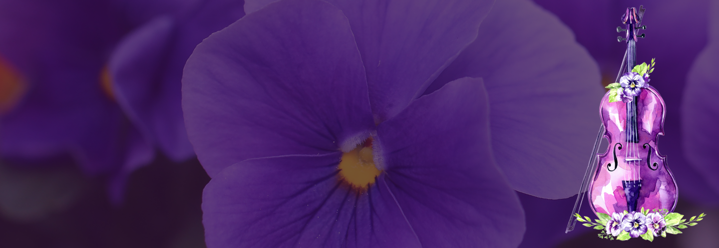 A purple flower with a yellow center, and a purple picsart image of a cello and bow with the same purple flowers over it