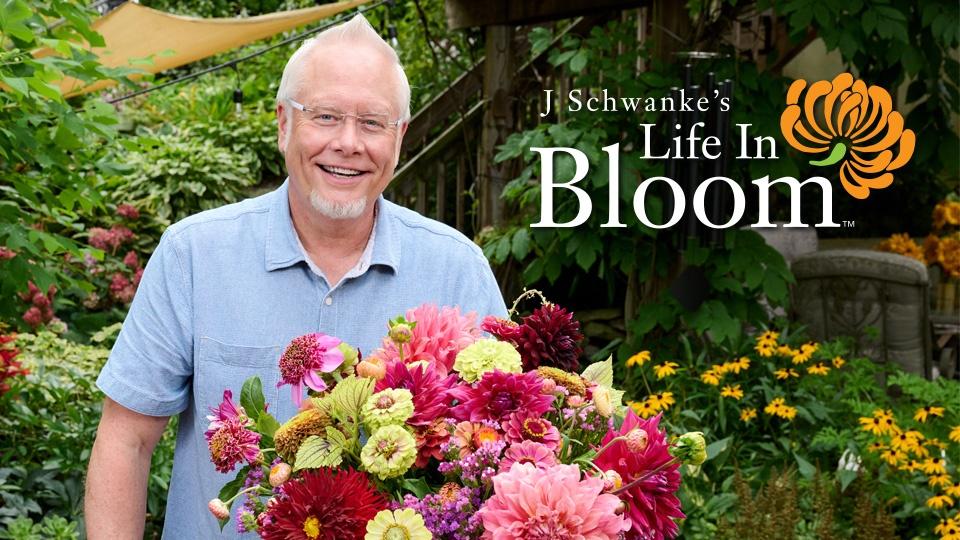 J Schwanke posing with a bouquet of pink, red, and yellow flowers with the text "J SCHWANKE'S LIFE IN BLOOM"