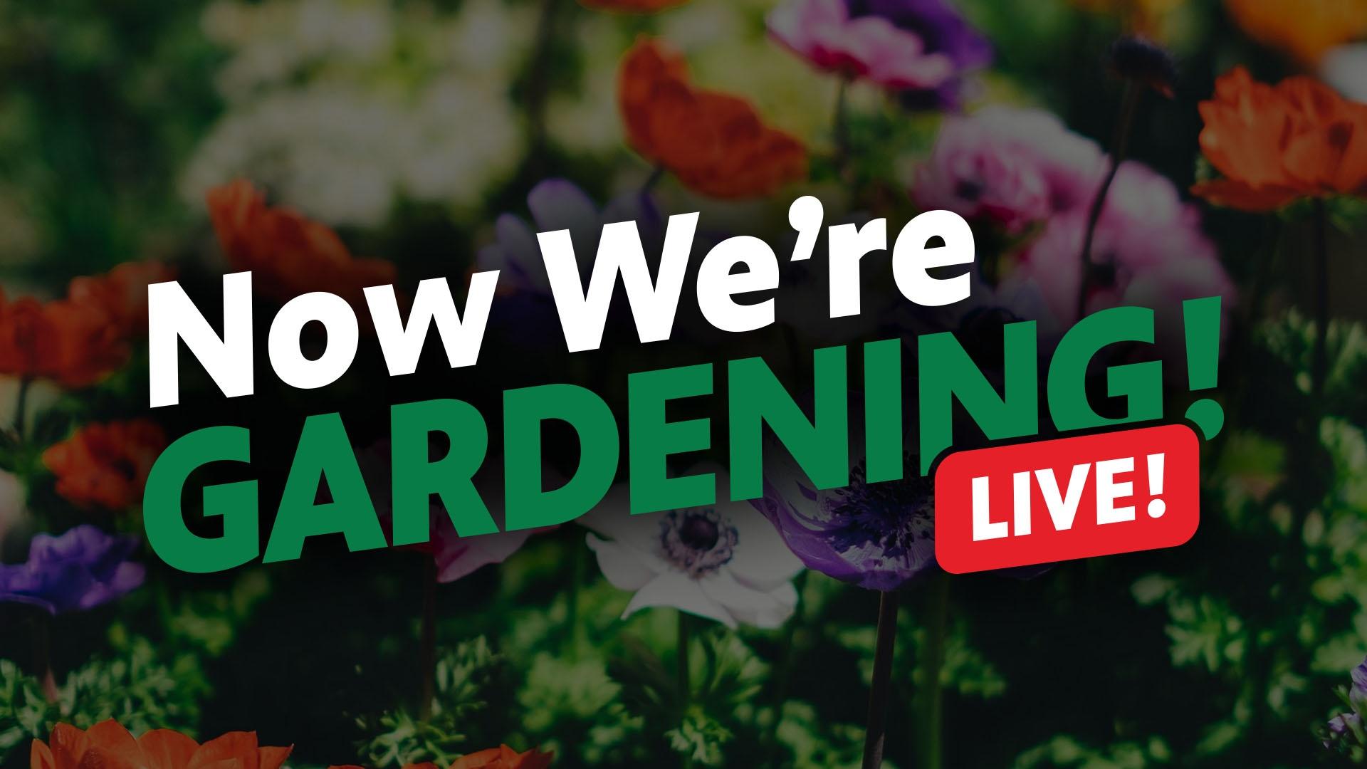 Now We're Gardening LIVE! logo over a photo of flowers