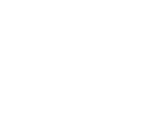 "Finding Your Roots" show logo