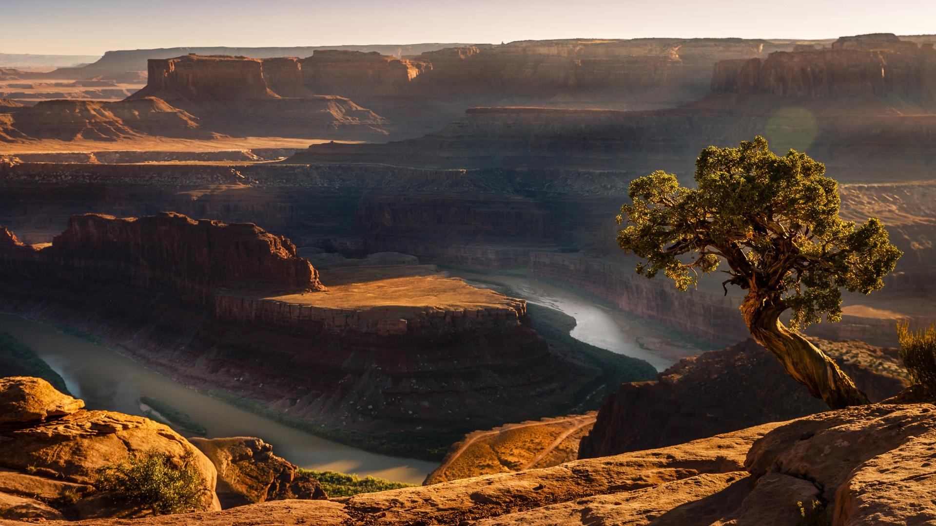 Dead Horse Point over Colorado River and Canyonlands at sunset – Utah