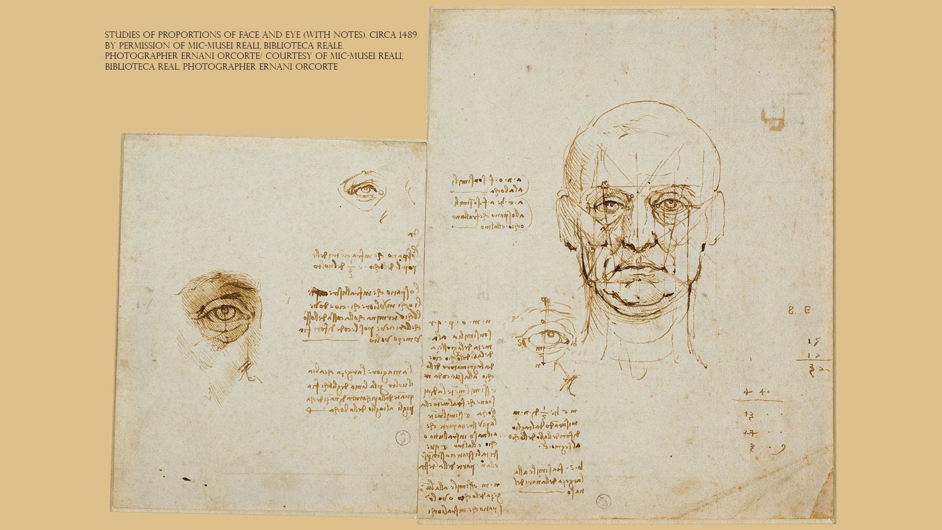 Studies of proportions of face and eye (with notes). Circa 1489.