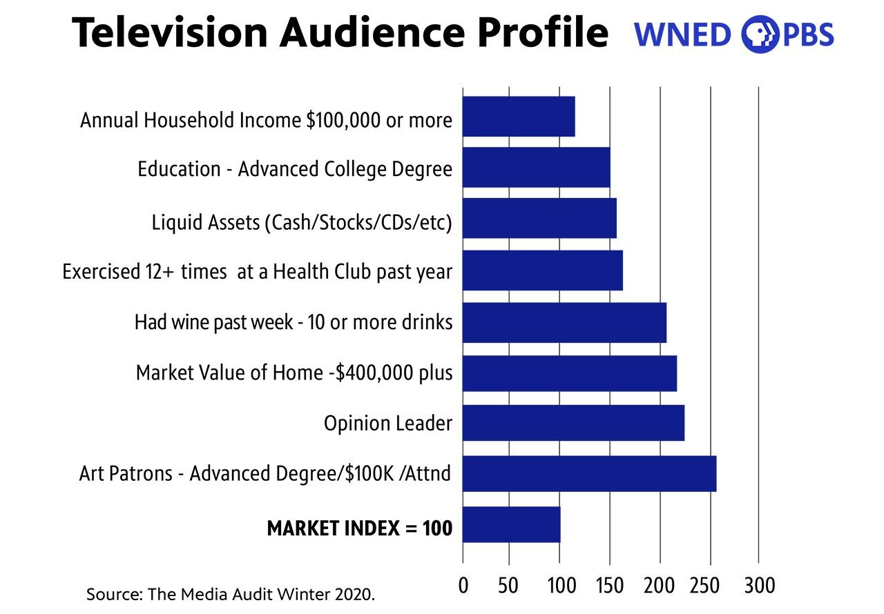 Television Audience Profile
