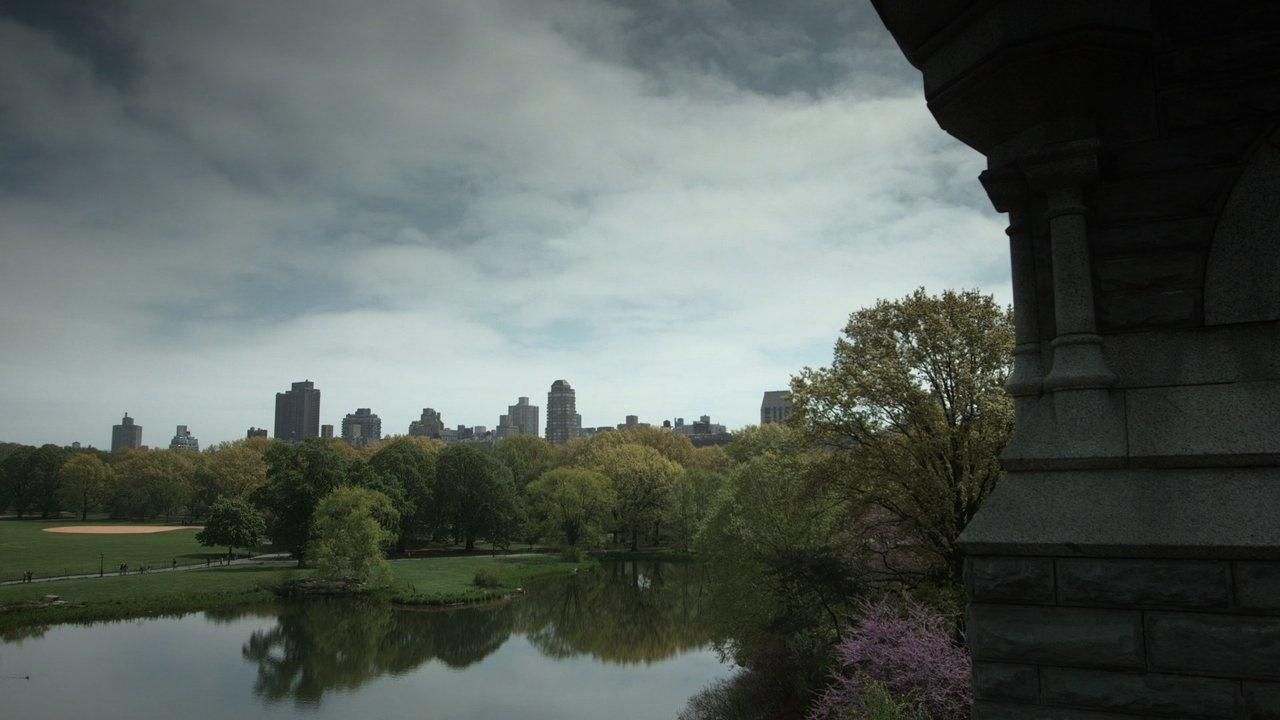 New York City's Central Park from Belvedere Castle.