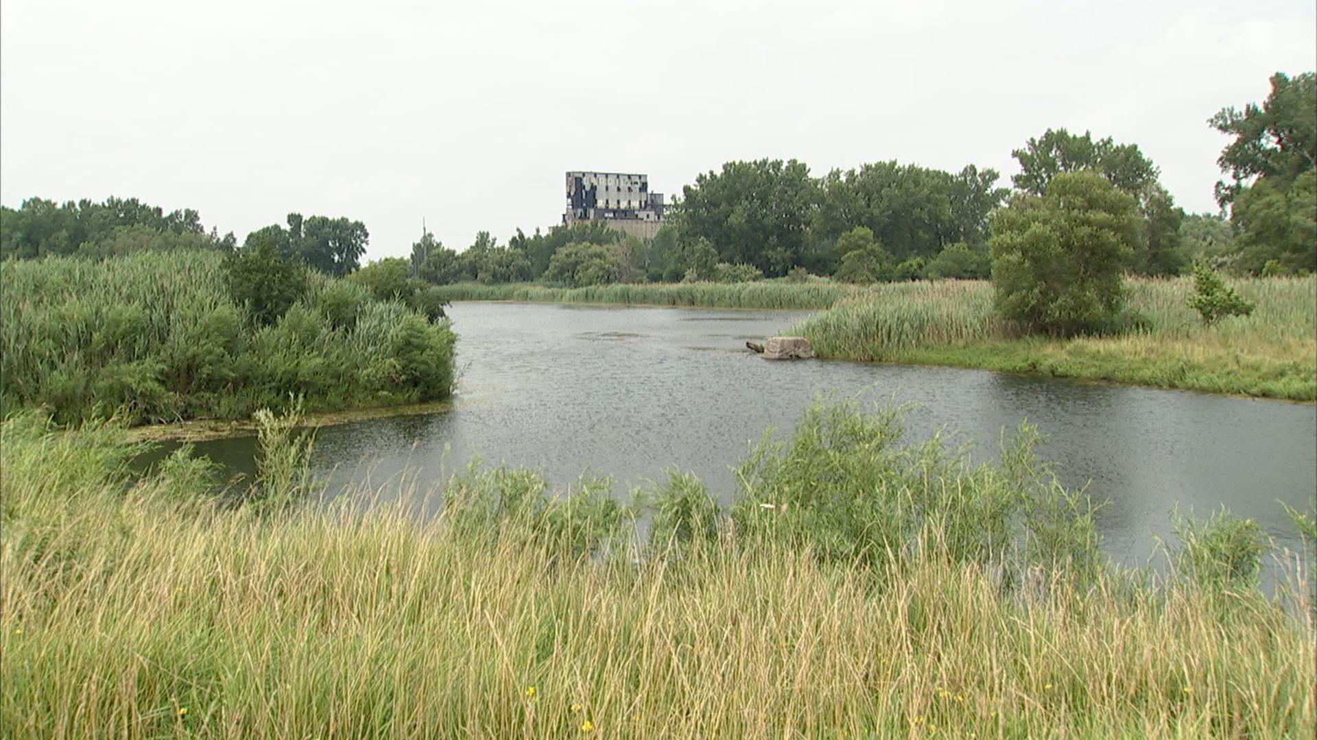 Tifft Nature Preserve