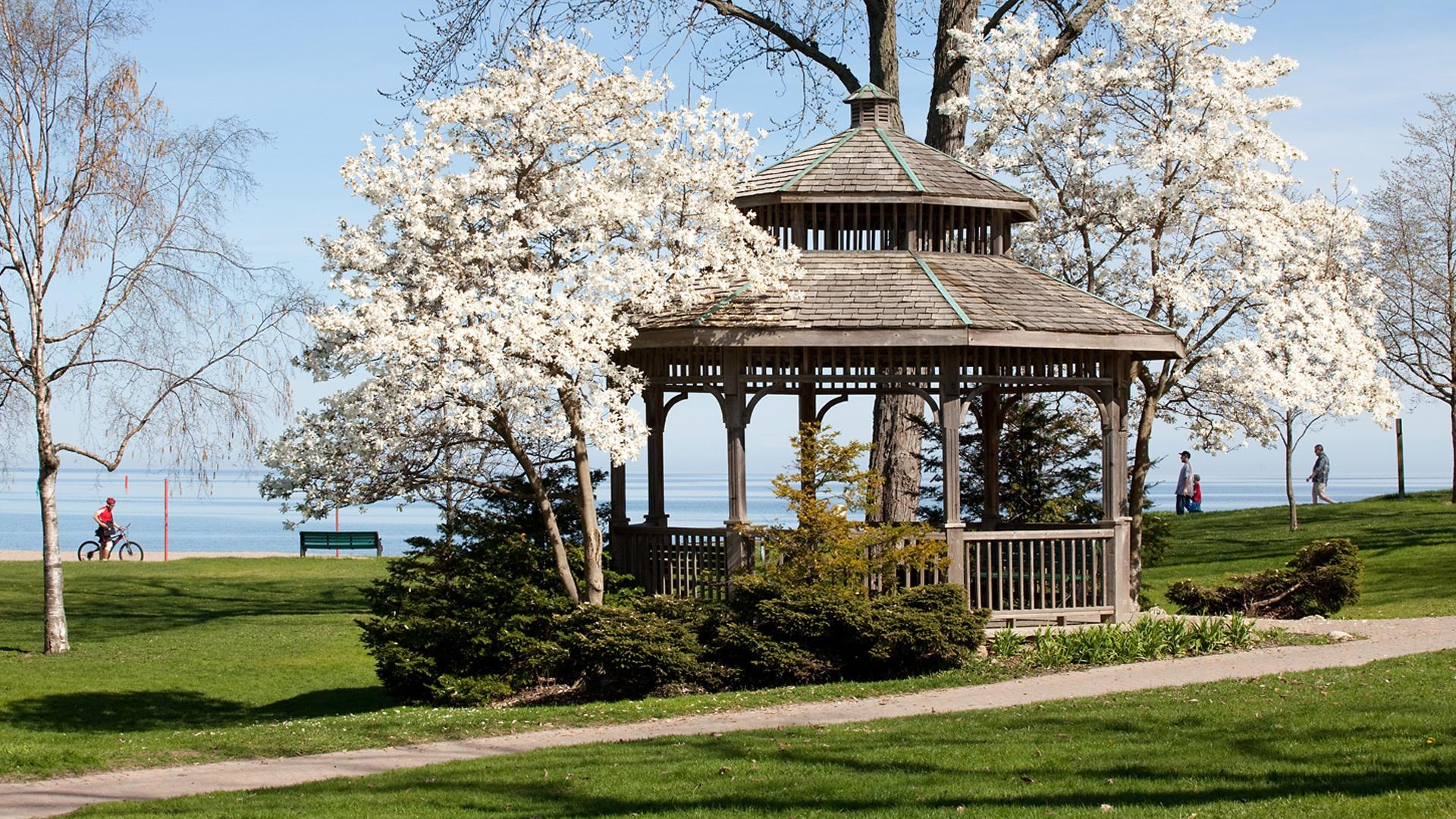 Flowering trees and gazebo in Oshawa