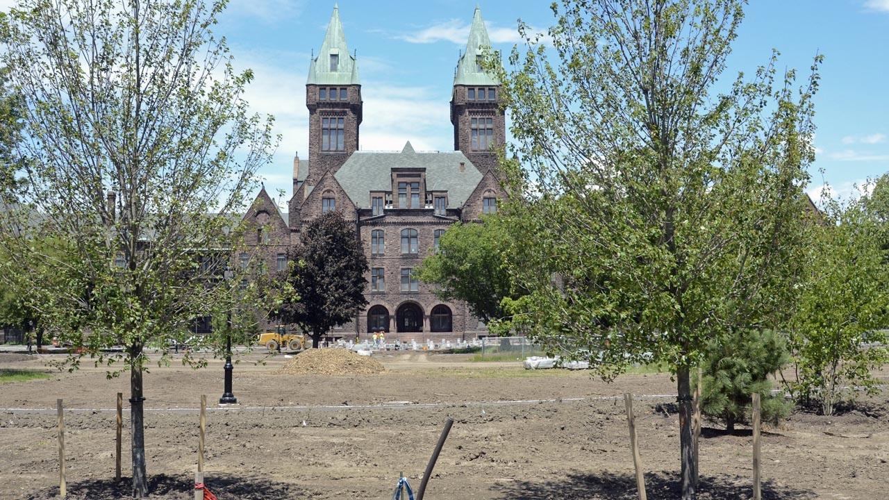 Newly planted trees in front of the south entrance
