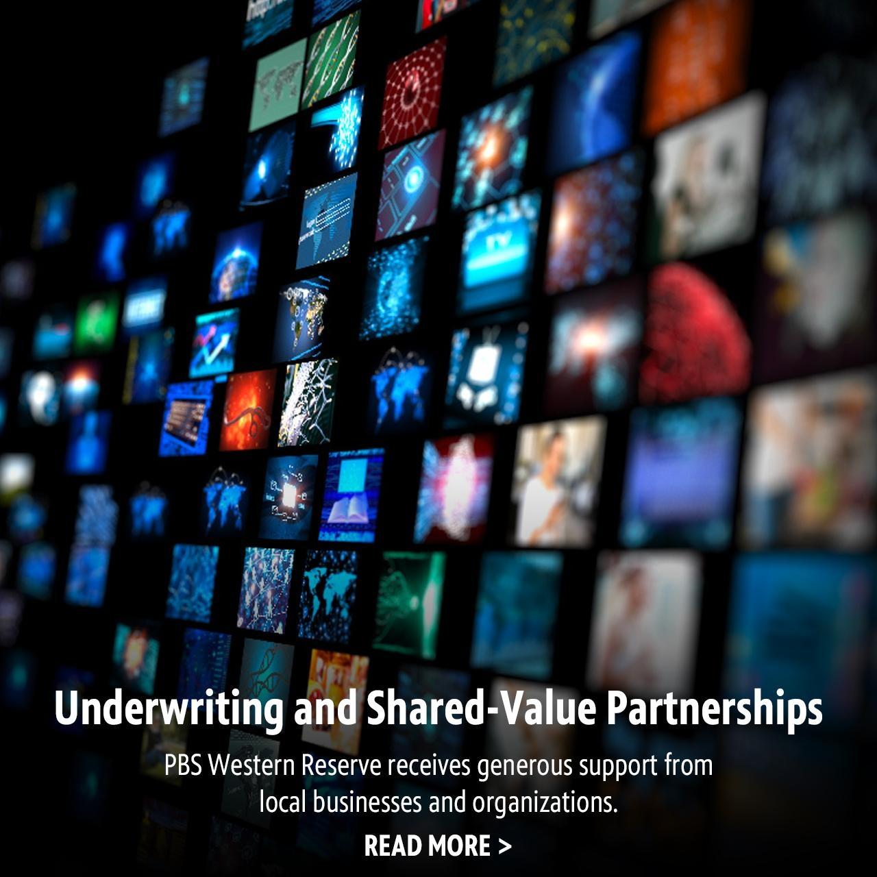 Underwriting and Shared-Value Partnerships