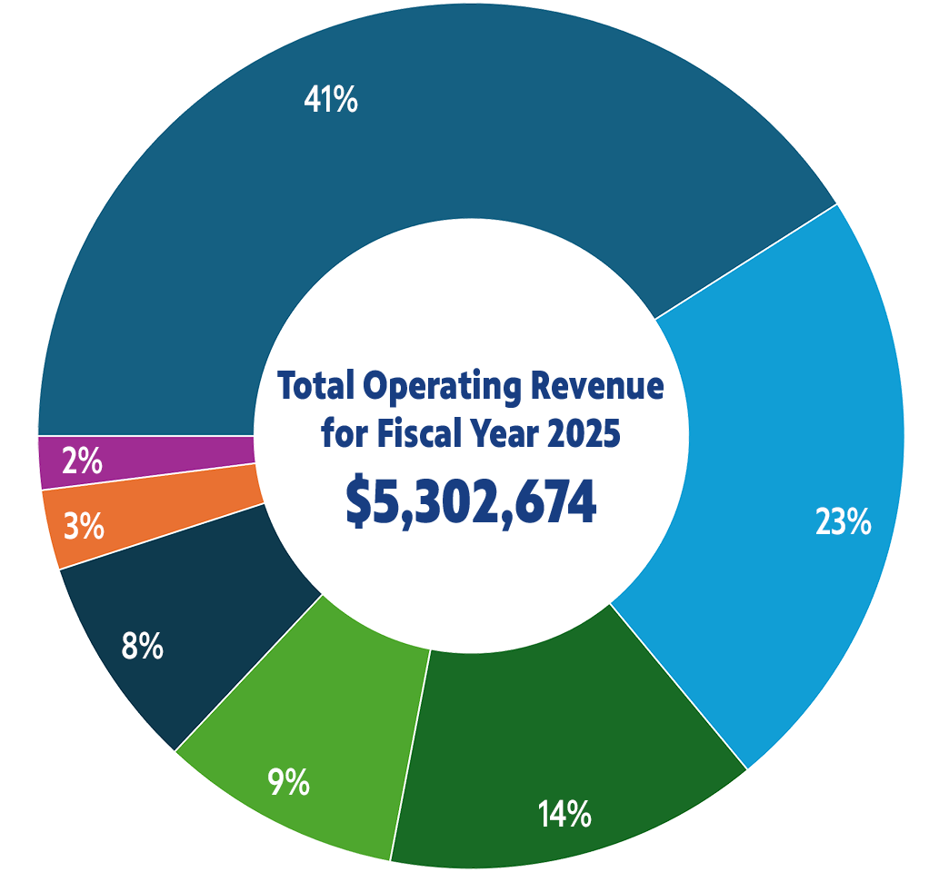 Revenue Sources Chart
