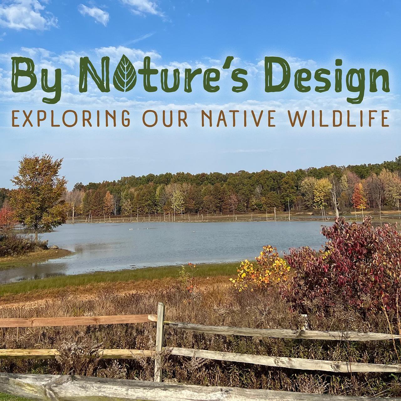 By Nature’s Design: Exploring Our Region’s Wildlife