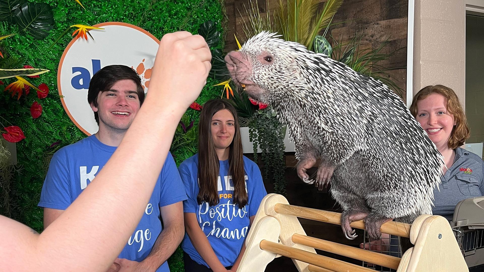 Kids for Positive Change