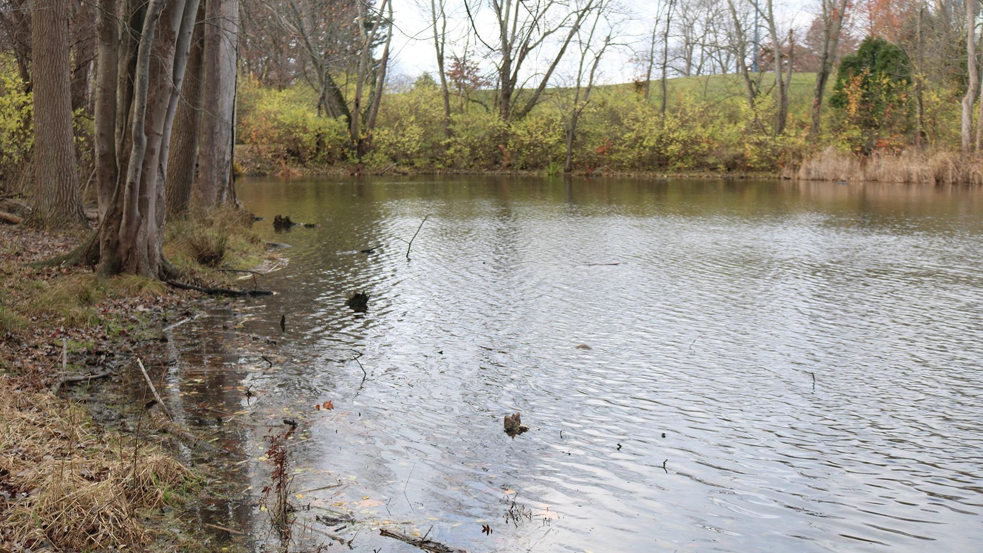 By Nature’s Design: Exploring Our Region’s Wildlife