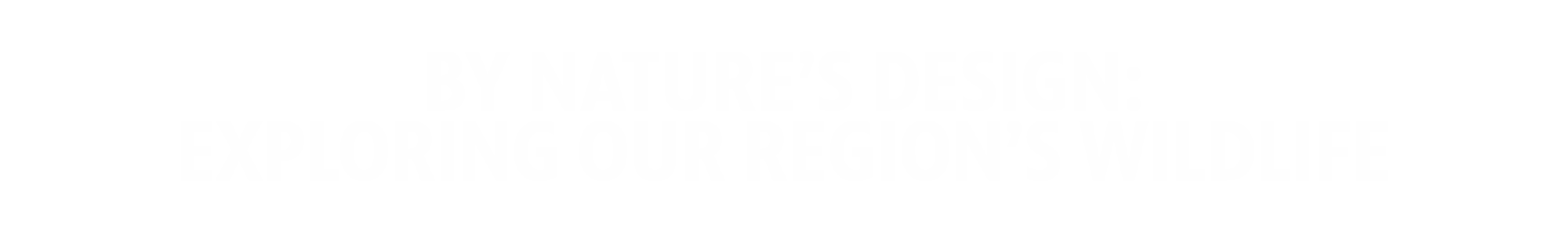 By Nature’s Design: Exploring Our Region’s Wildlife