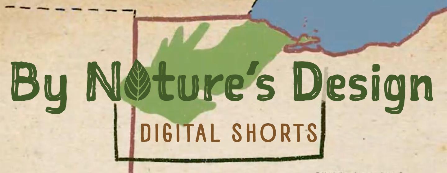 By Nature’s Design Digital Shorts