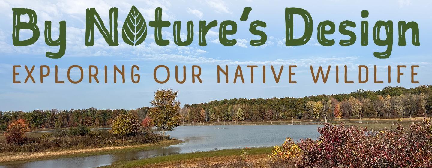 By Nature’s Design: Exploring Our Region’s Wildlife
