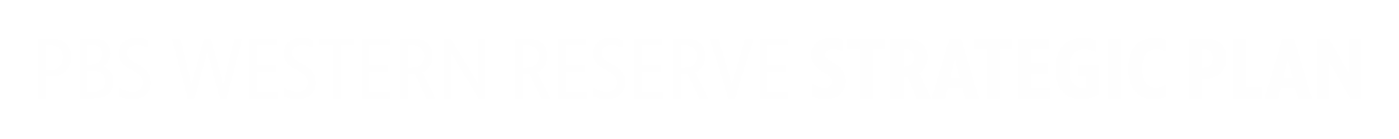 PBS Western Reserve Strategic Plan