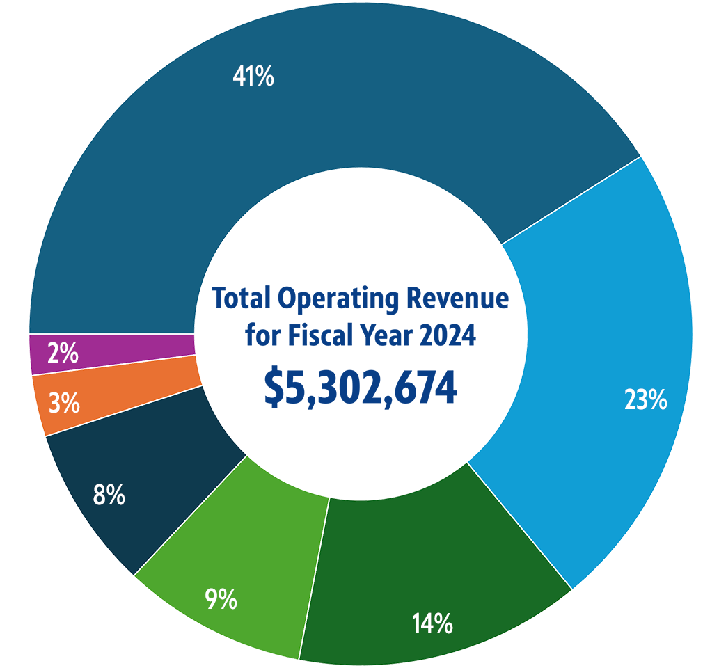 Revenue Sources Chart