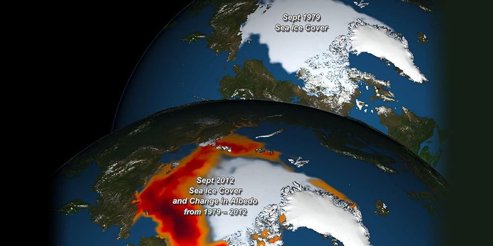 Albedo Decrease Linked to Vanishing Arctic Sea Ice