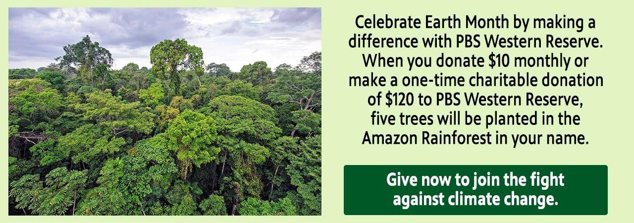 Give now to join the fight against climate change.