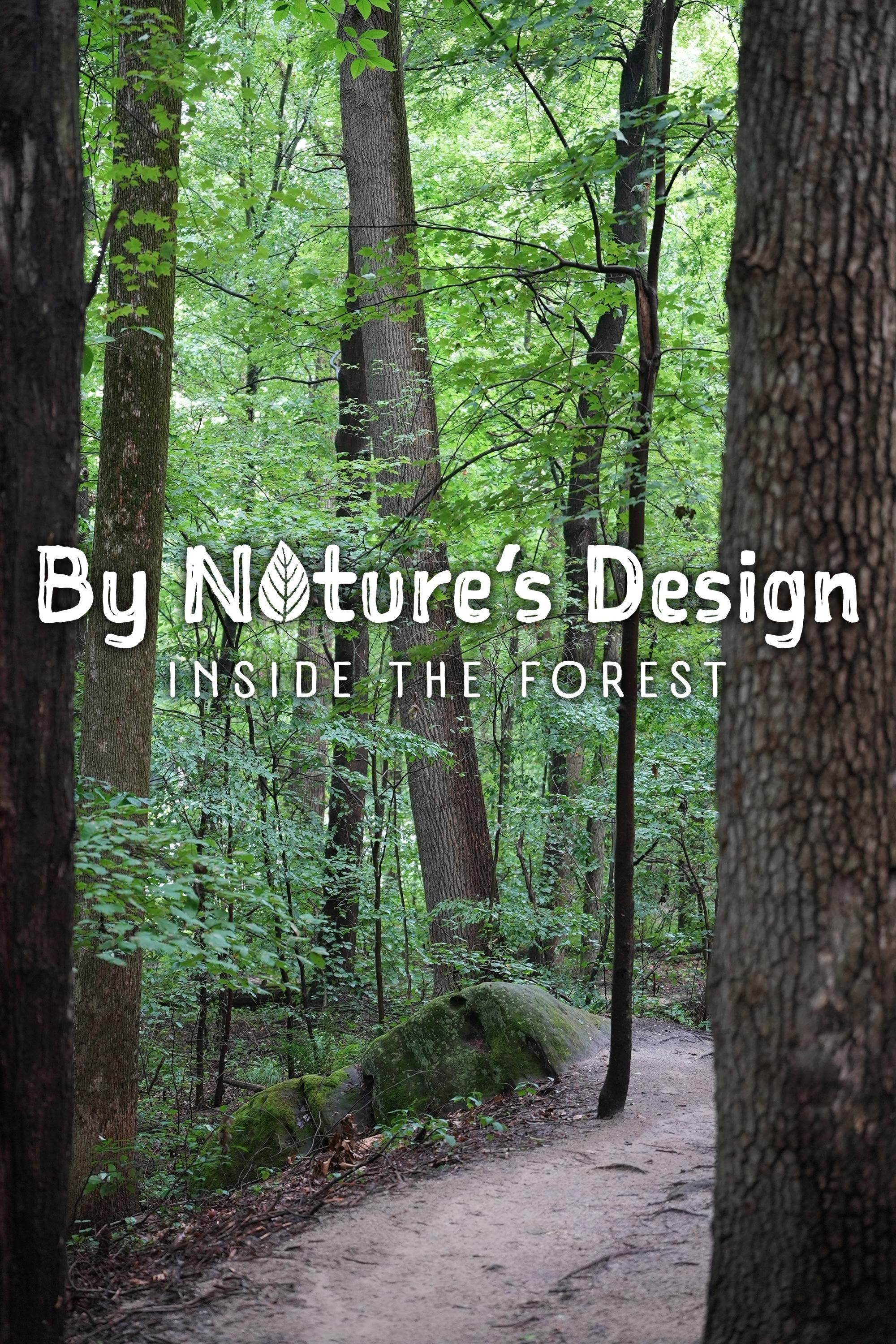 By Nature's Design: Inside the Forest