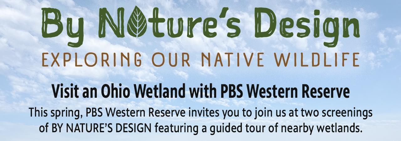 Visit an Ohio Wetland with PBS Western Reserve