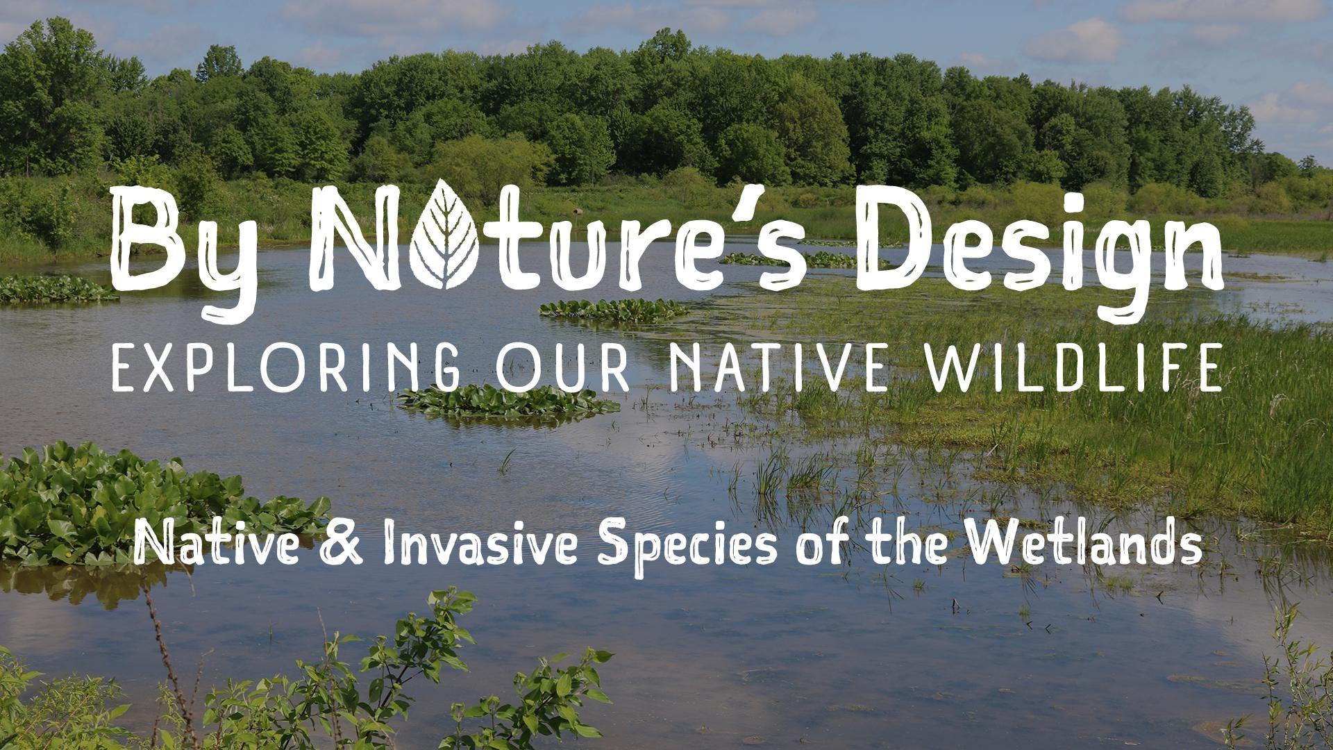 By Nature’s Design: Exploring Our Native Wildlife “Native & Invasive Species of the Wetlands” 