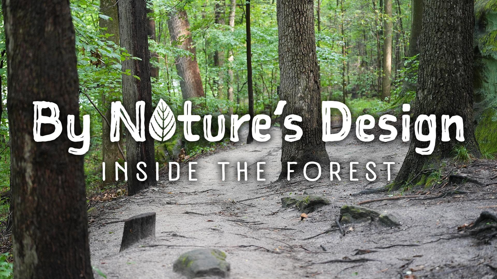 By Nature's Design: Inside the Forest