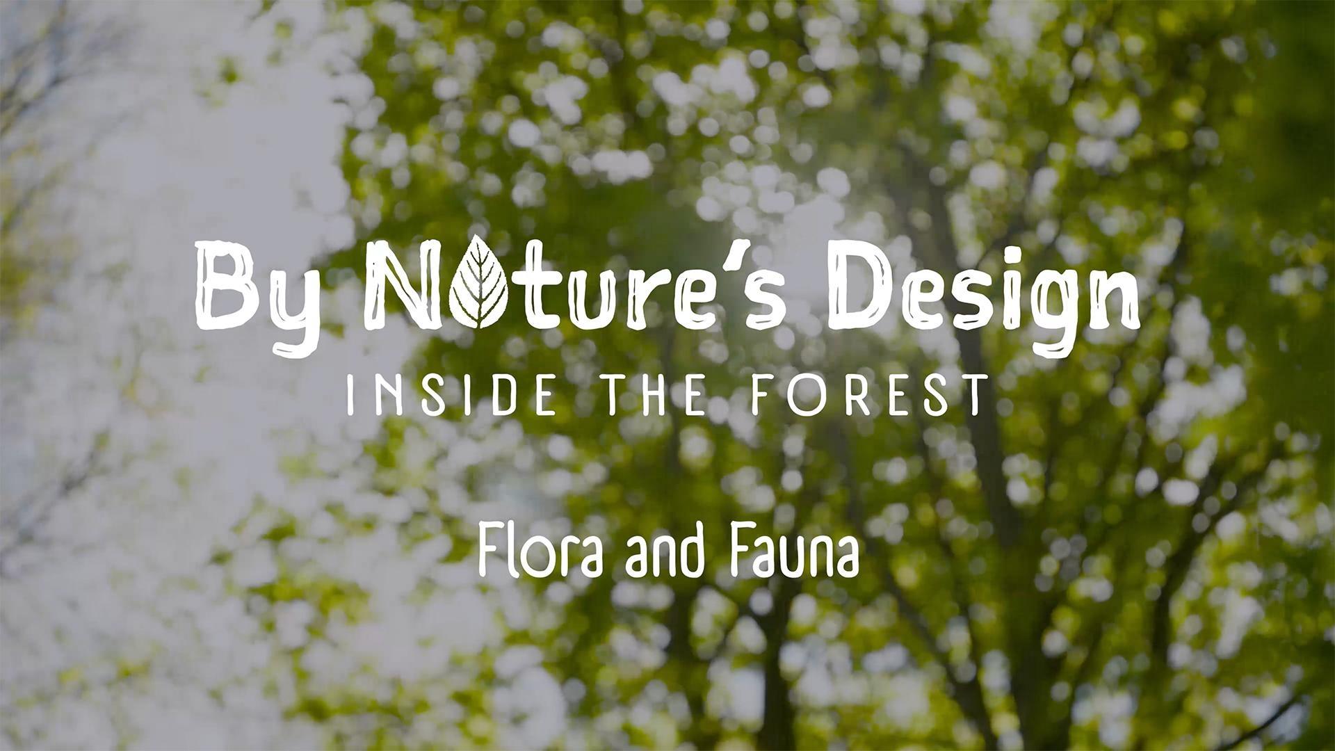 Flora and Fauna