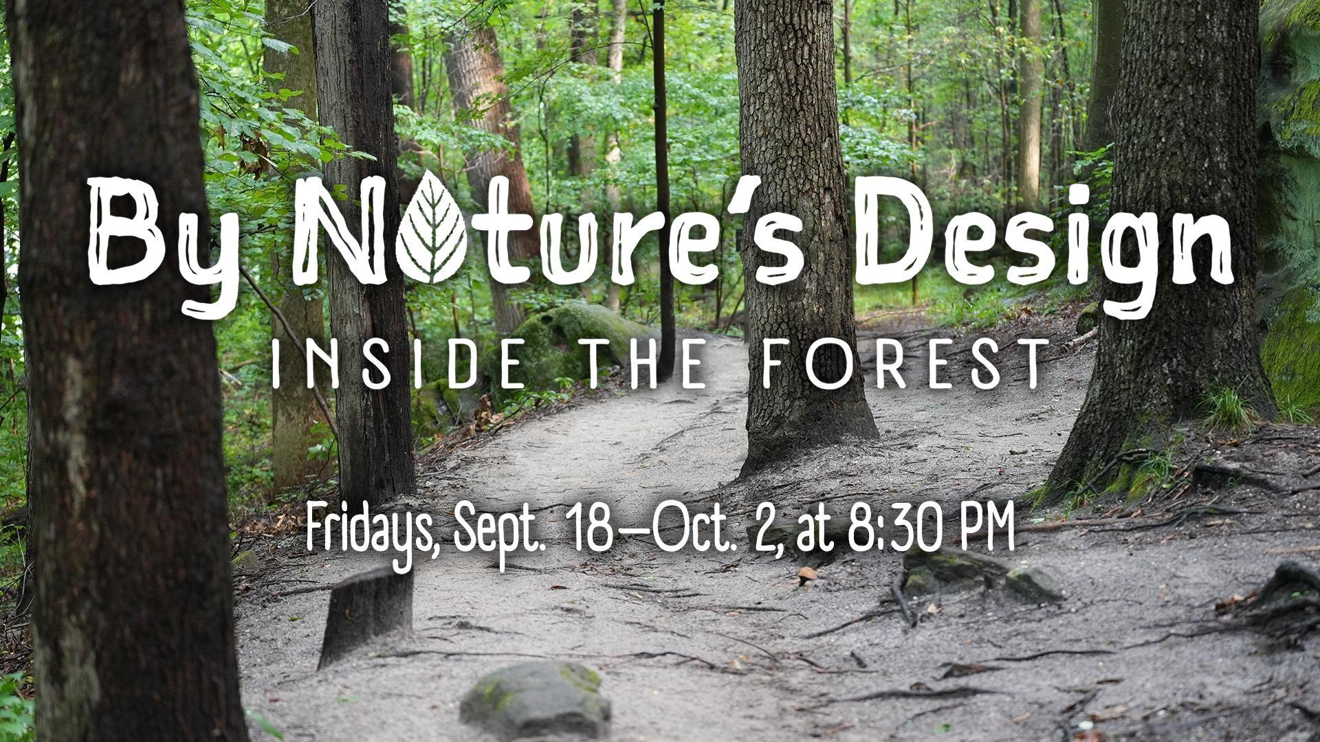 By Nature's Design: Inside the Forest
