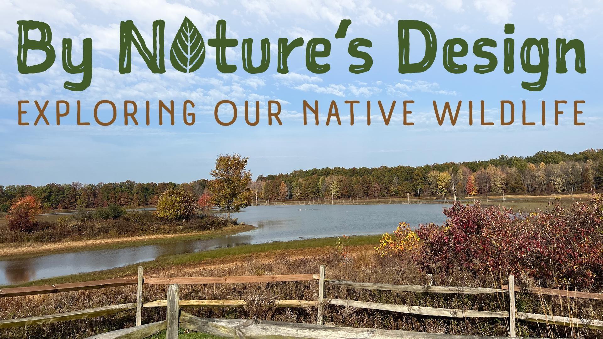By Nature's Design: Exploring Our Native Wildlife