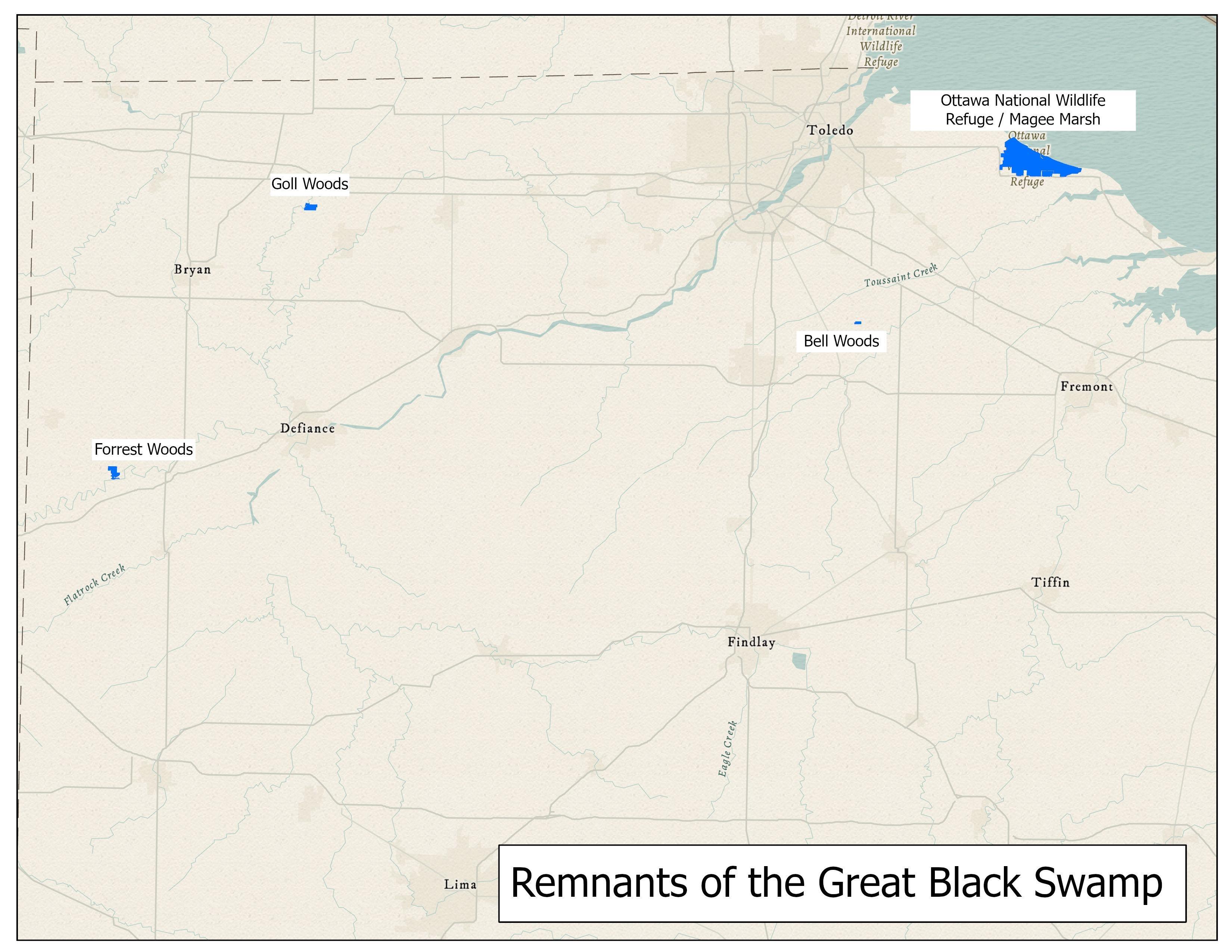 Remnants of Great Black Swamp