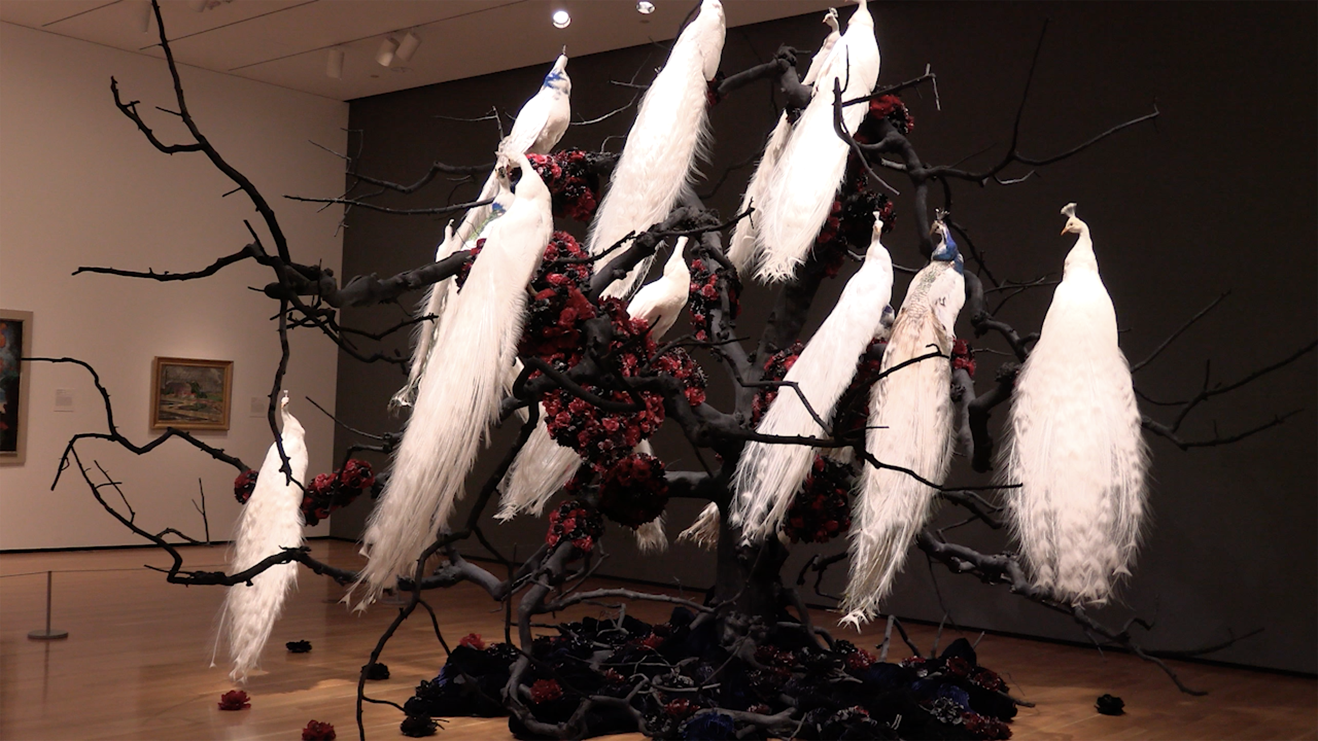 Akron Art Museum’s Free Thursdays