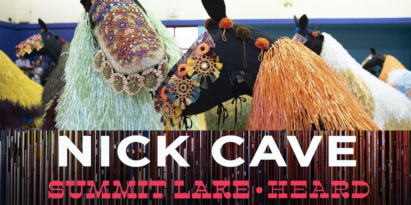 Nick Cave, Summit Lake: Heard 