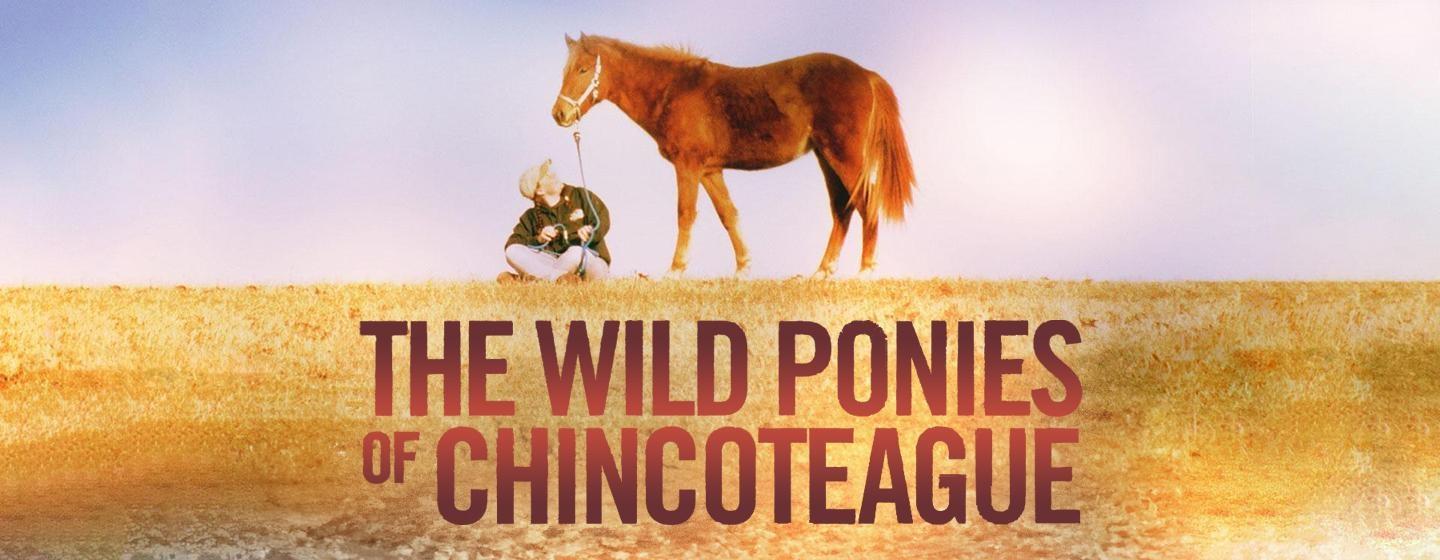 The Wild Ponies of Chincoteague