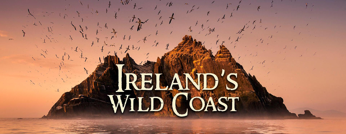 Ireland’s Wild Coast