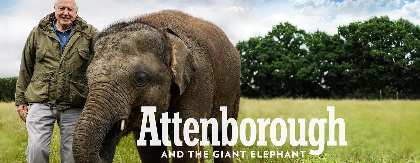 Attenborough and the Giant Elephant