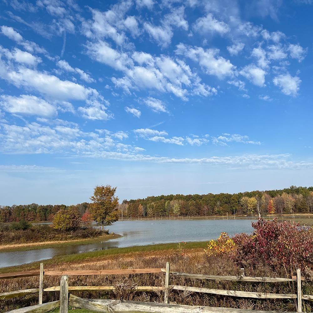 By Nature’s Design: Exploring Our Native Wildlife, Welcome to the Wetlands