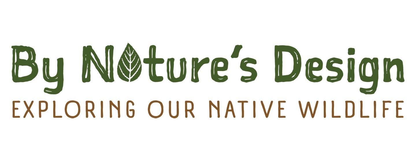 By Nature’s Design: Exploring Our Native Wildlife