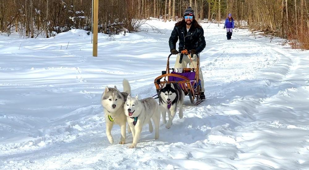 The World According to Polka Winter Sports Spectacular