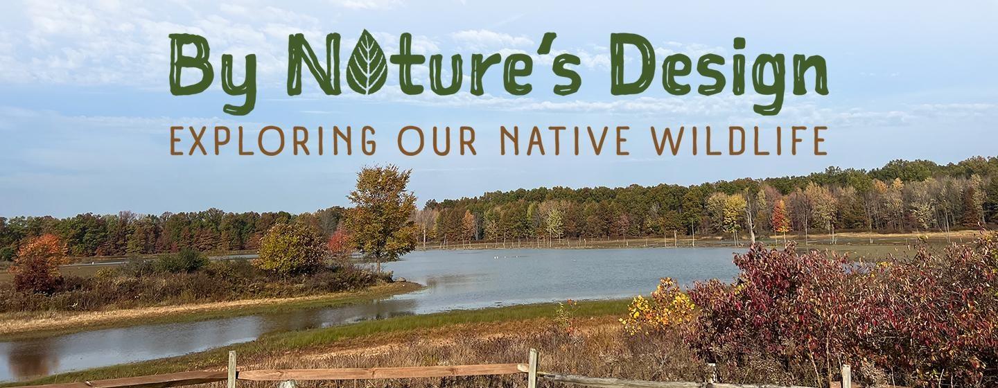 By Nature's Design: Exploring Our Native Wildlife