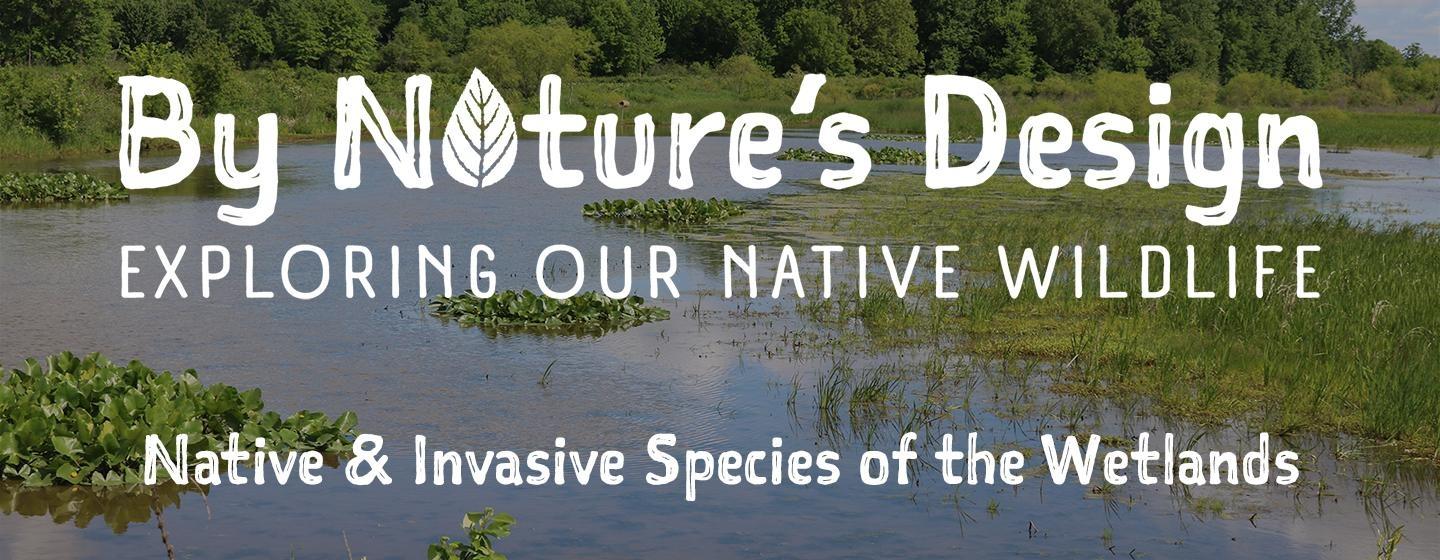 By Nature’s Design: Exploring Our Native Wildlife