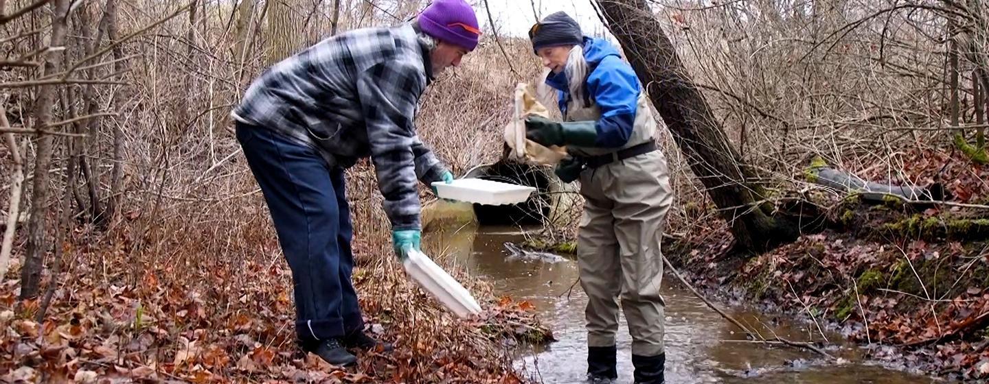Great Lakes Now, Fading Stars and River Bugs
