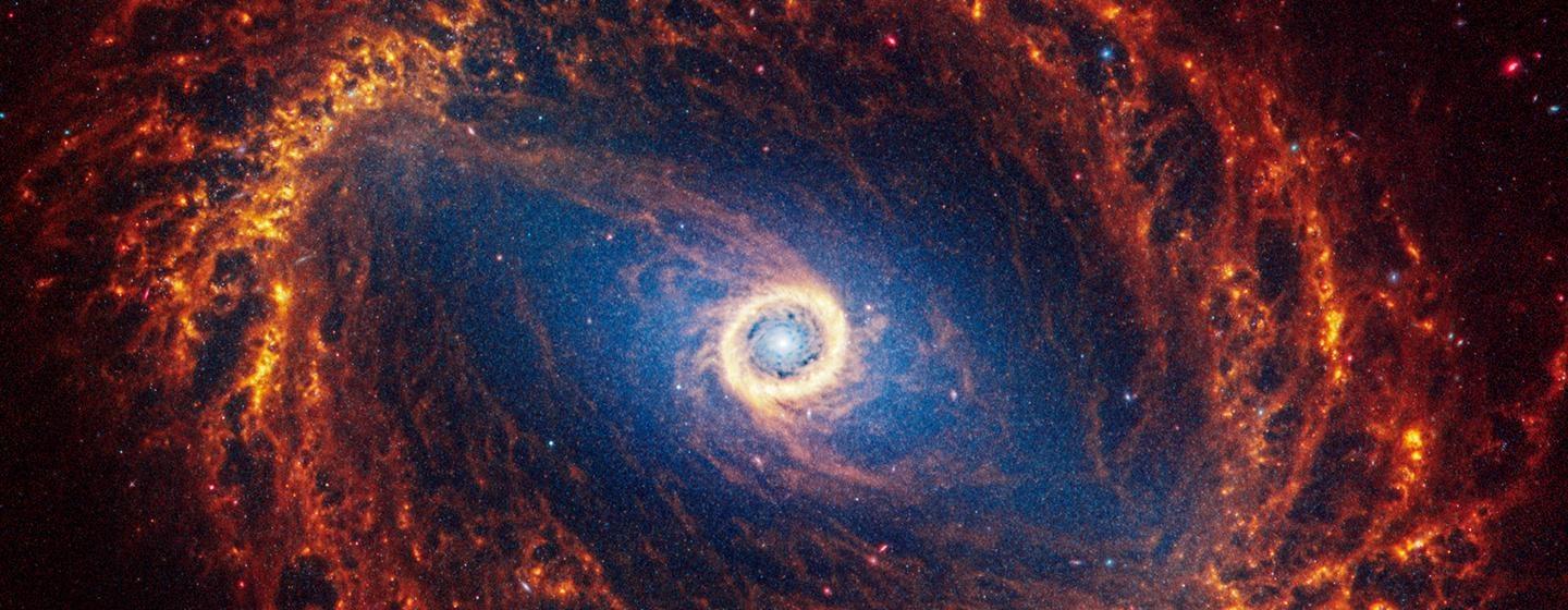 Nova, Decoding the Universe: Cosmos