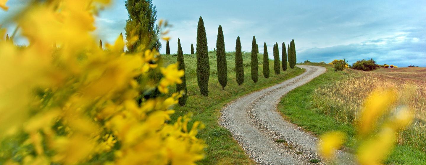 A road in Tuscany. Photo courtesy of Rick Steves.