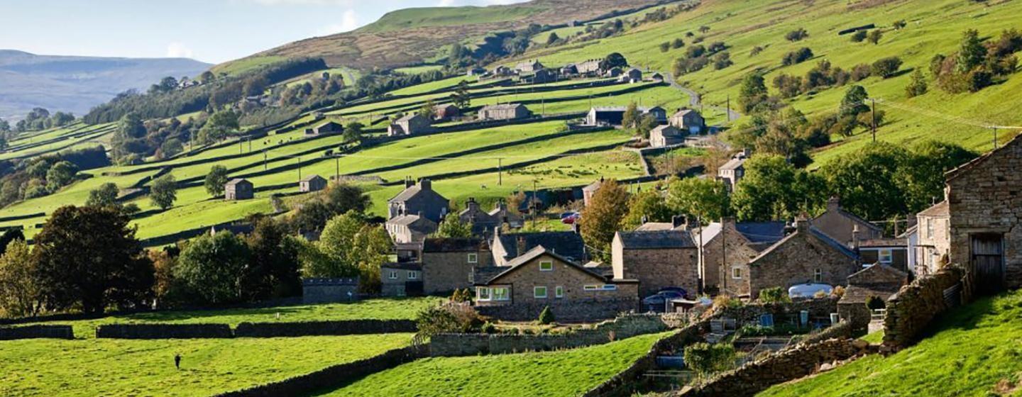 All Creatures Great and Small: Touring the Dales